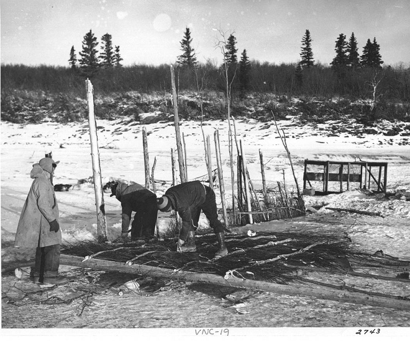 CarterLibrary's tweet photo. #DYK ANILCA impacted more than 100 million acres of federal land in Alaska? It also gave public lands managers guidance on wilderness designation, subsistence, hunting, trapping, fishing, public access, mining, & oil & gas leasing. Photos, NAIDs 166707258, 166698094 #ANILCA40 https://t.co/PWwM5QW69X
