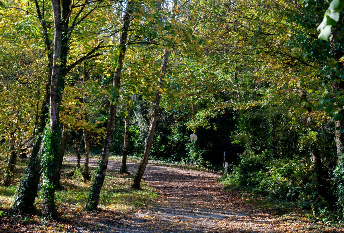 We are reopening our gates this Friday 4th December from 9.30am to 5.30pm (last admissions 3pm). The falconry centre, restaurant and craft shop will reopen too!
Looking forward to seeing you!
#IrelandsAncientEast #visitwexford #keepdiscovering https://t.co/2cKI82Yybe