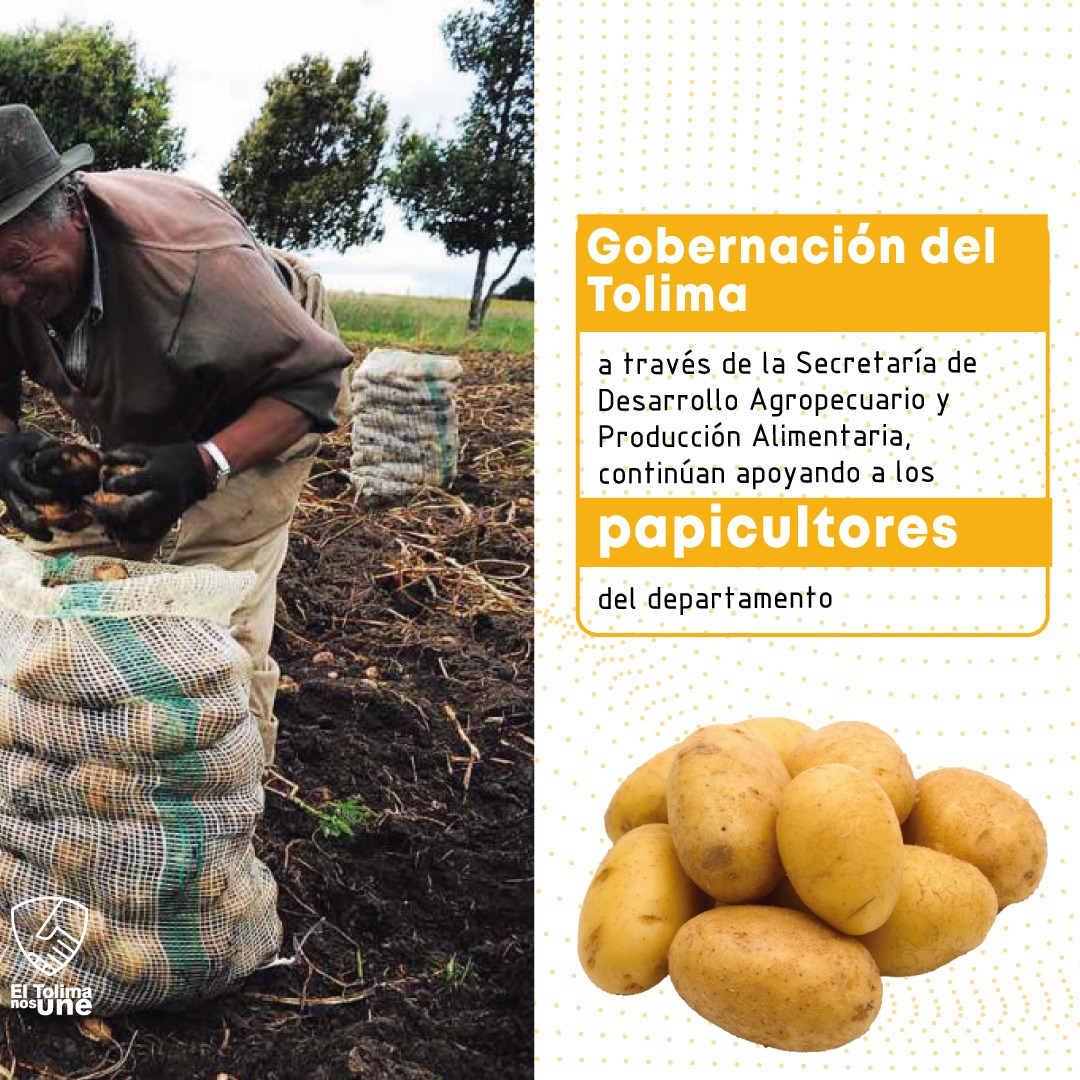 Gobernación del Tolima tweet media