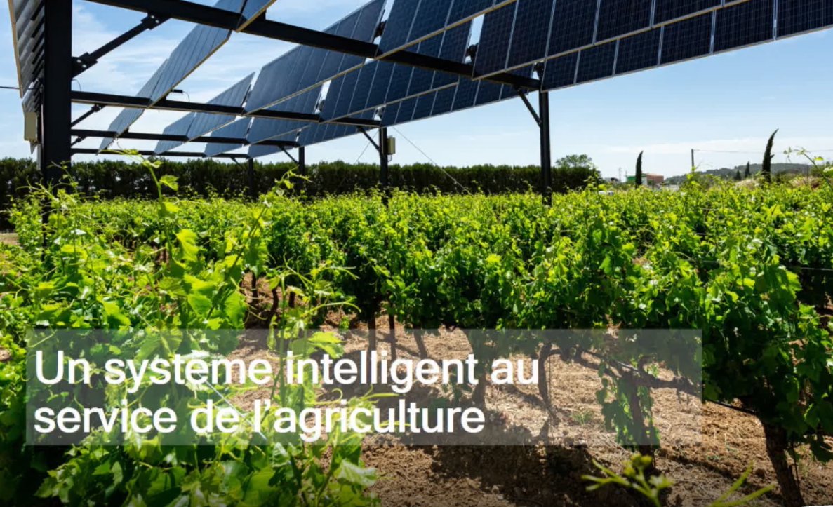 vinitechsifel's tweet photo. #VinitechSifel #VSVirtual #LIVE @Sun__Agri en collaboration avec les @ChambagriFrance pour allier #photovoltaïque & #agriculture #Innovation Pour vous une bonne solution pour s'adapter au #ChangementClimatique, envie d'en savoir plus ?✅⛔️
🎦 https://t.co/6onlp93SiC https://t.co/hhexNoGpDs