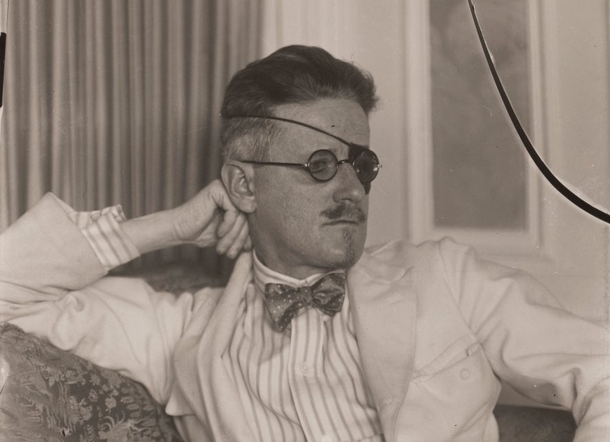 James Joyce Centre. Ireland’s many world famous writers have a number of museums, festivals & summer schools devoted to them. Joyce immortalised the city in his masterpiece Ulysses (1922). The Centre has regular exhibitions as well as a permanent display in an 18th C mansion