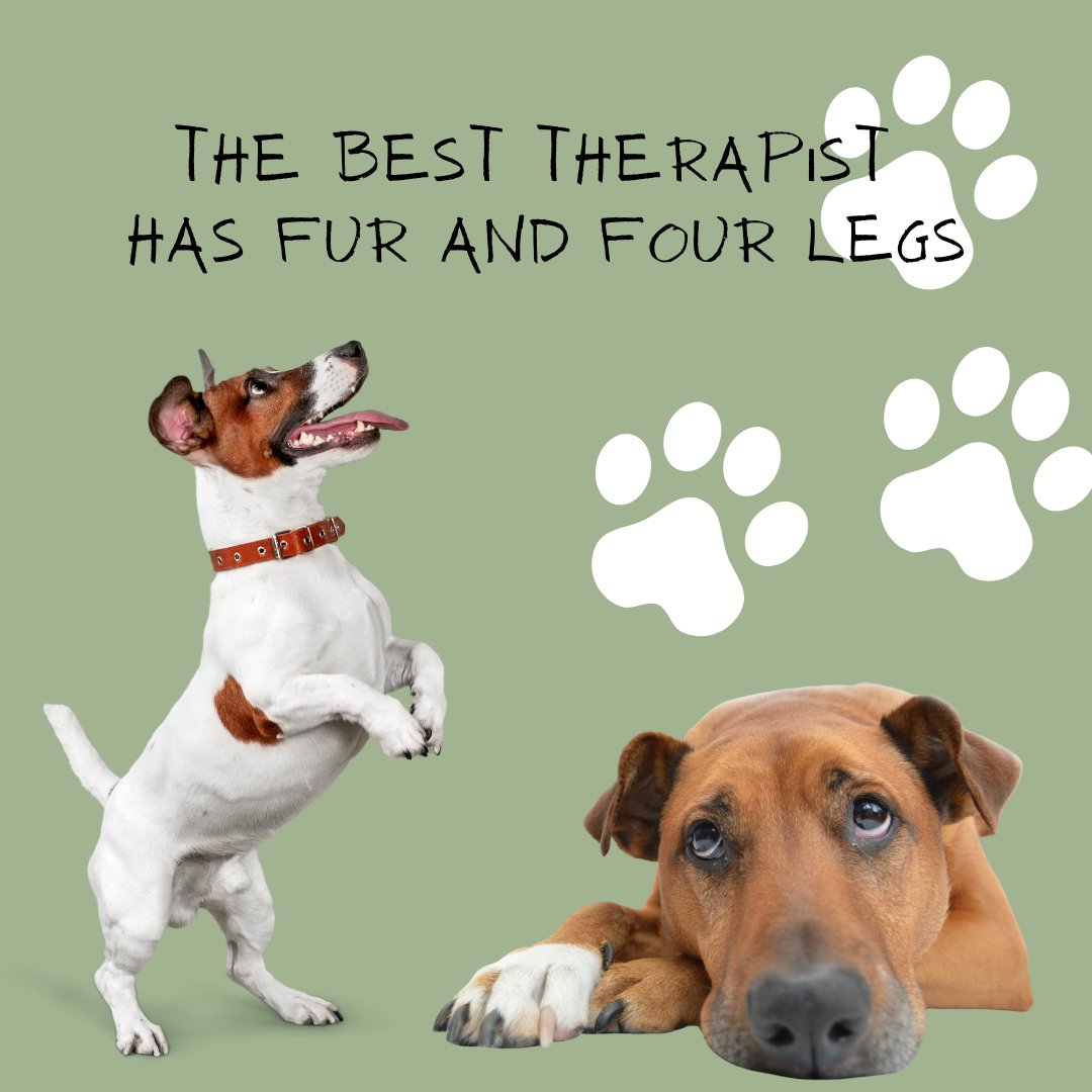 KinneyCreekBrew's tweet photo. It’s National Mutt Day!

Let’s see your four legged friends in the comments below!
Want to make them feel extra special today? Stop in and pick up Barking Dozen’s homemade dog treats available in the taproom! 

#nationalmuttday #dogs #doglovers #dogtreats #puppy #dogperson https://t.co/jm73mCaNTF