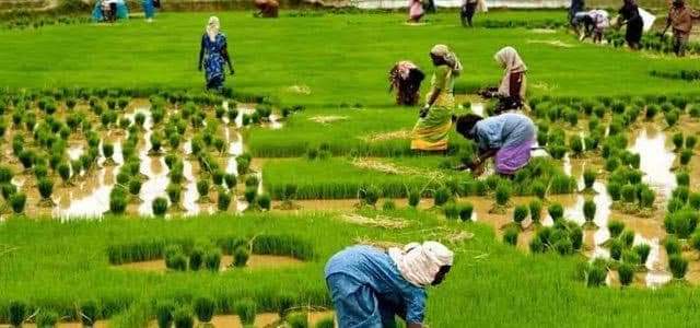 DeepakC48354371's tweet photo. कितने ही ऊंचे पद पर आसीन हो जाइए...लेकिन अपने गांव जरूर जाइए... 
ये गांव ही है जो आपको बतलाता रहेगा कि आप कहाँ से चले थे और कहाँ आ गये हैं... @AnkitpandayBJP  @PistolPandey  @up70_dipu @diptisingh7812 https://t.co/AIf9PGFCPG
