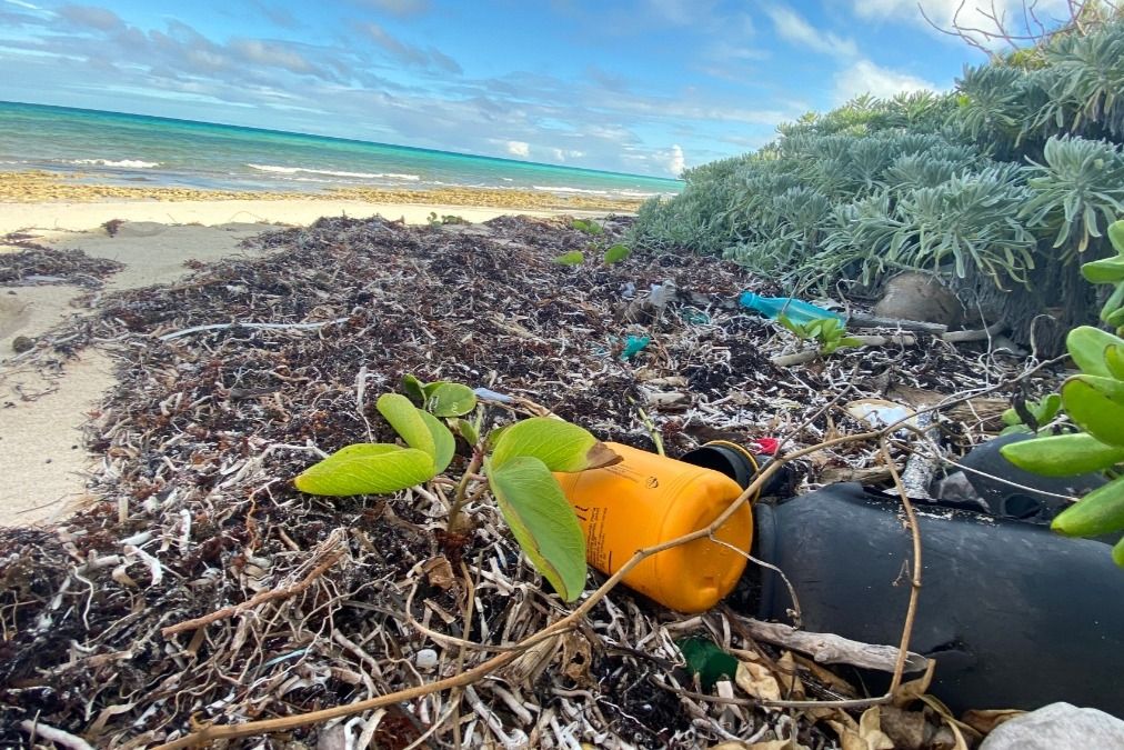 We know that the need is great and there is opportunity for you to help - help clean our oceans and make an impact . #onpoli #gofundme 
buff.ly/2I1ypOZ