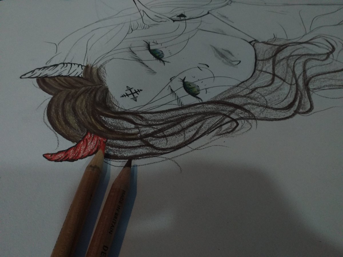 .🎨 tweet media