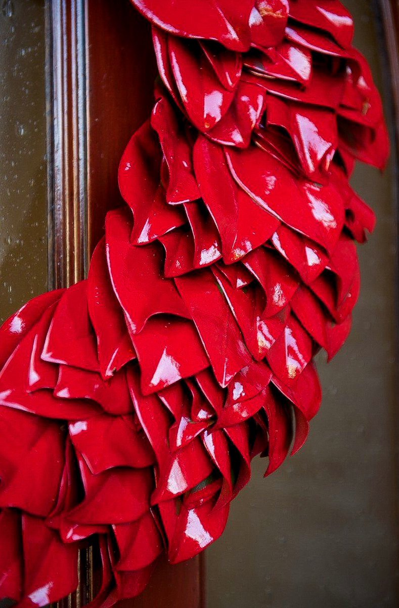 AmosEvents's tweet image. My mom taught me how to make magnolia wreaths when I was young that we hung on the fireplace in the den at Christmas.  So after constructing this wreath I decided it needed some high gloss red paint to make it a showstopper!  #christmaswreath