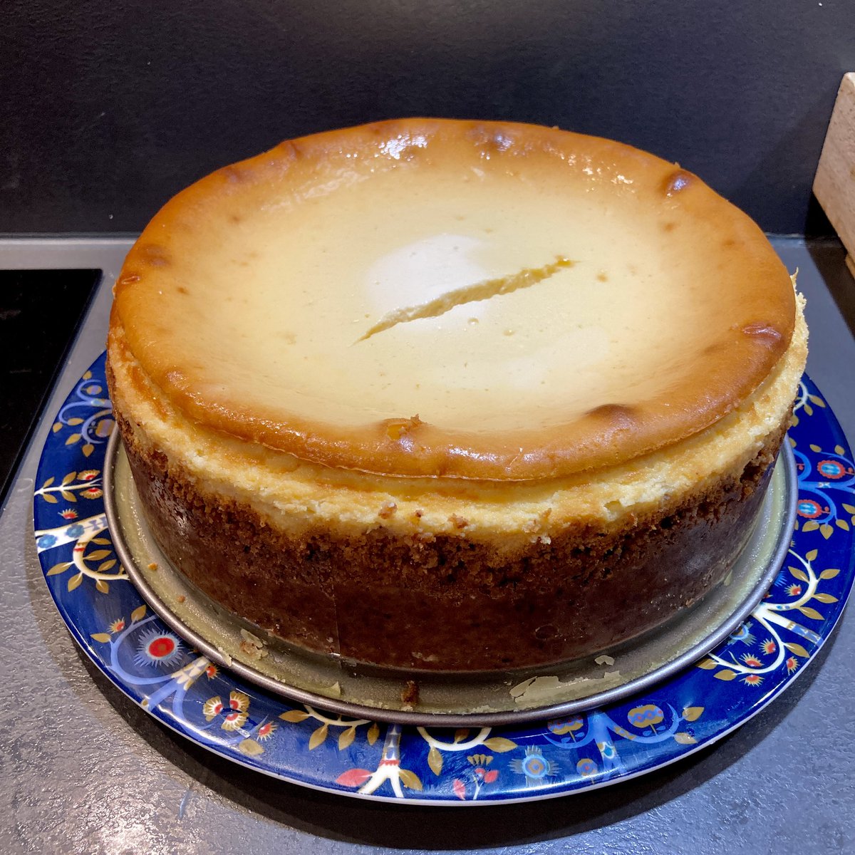 jpaudouy's tweet photo. Out of the pan at last.
#turtlecheesecake https://t.co/Tp18NG5GS2