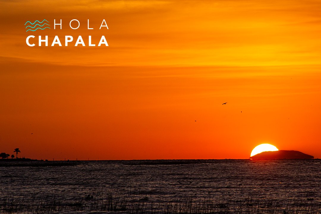HolaChapala's tweet photo. Amanecer de otoño / Autumn sunrise.
#HolaChapala
#Chapala
#OrangeSunrise
#LagoDeChapala
#SunrisePhoto
#LakePhoto
#Amanecer
#Autumn
#PhotoSun
#Siluetas https://t.co/wXMvShjXCx