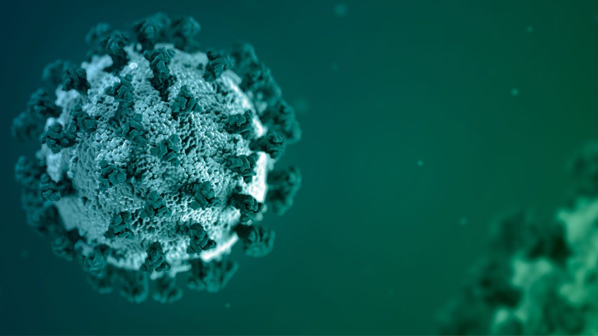 CancerFreeSC's tweet image. The CDC has all the updated information on the Coronavirus. Information on how to protect yourself, high risk patients, reported cases in the U.S, and how to keep your home safe can be found on their website. buff.ly/2zcCY4A