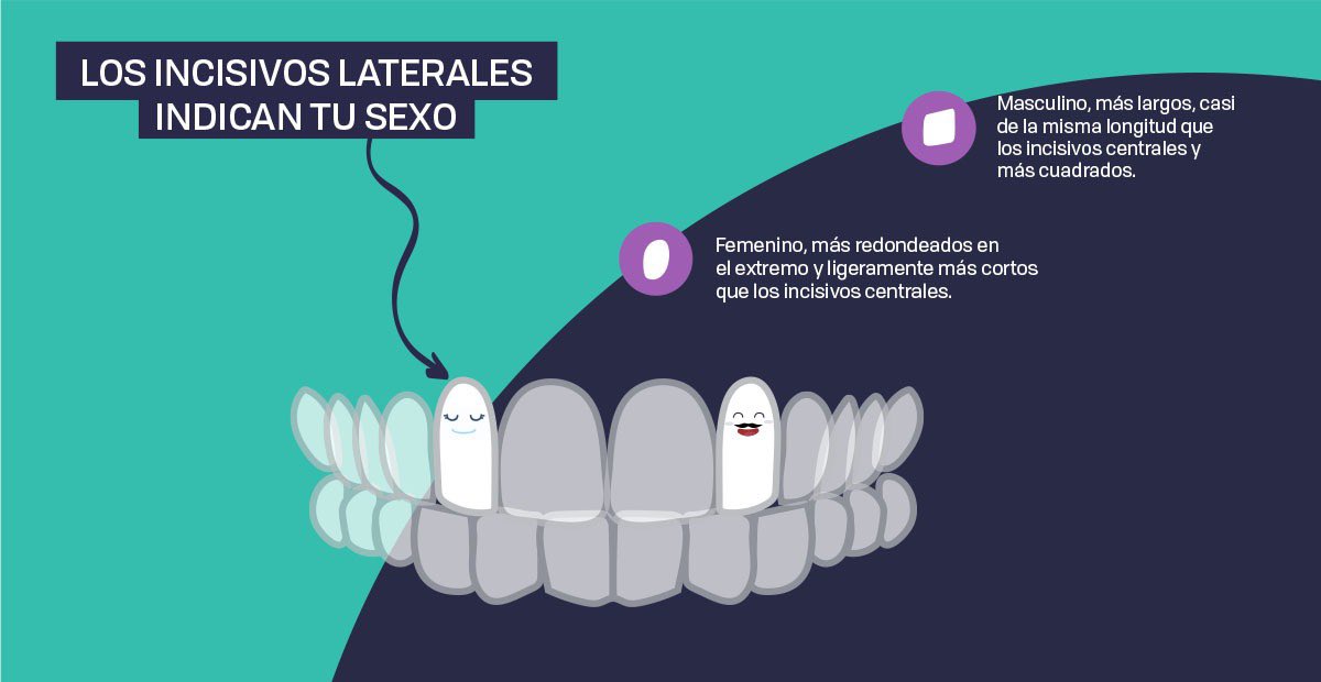 Dentis+a tweet media