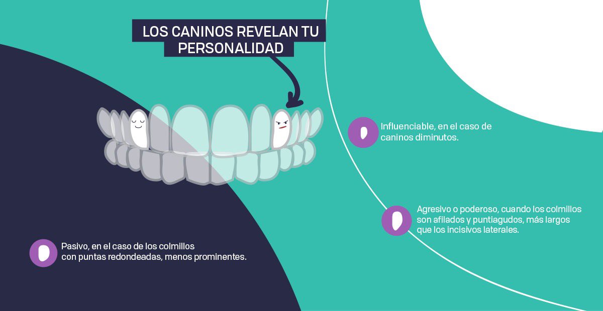 Dentis+a tweet media