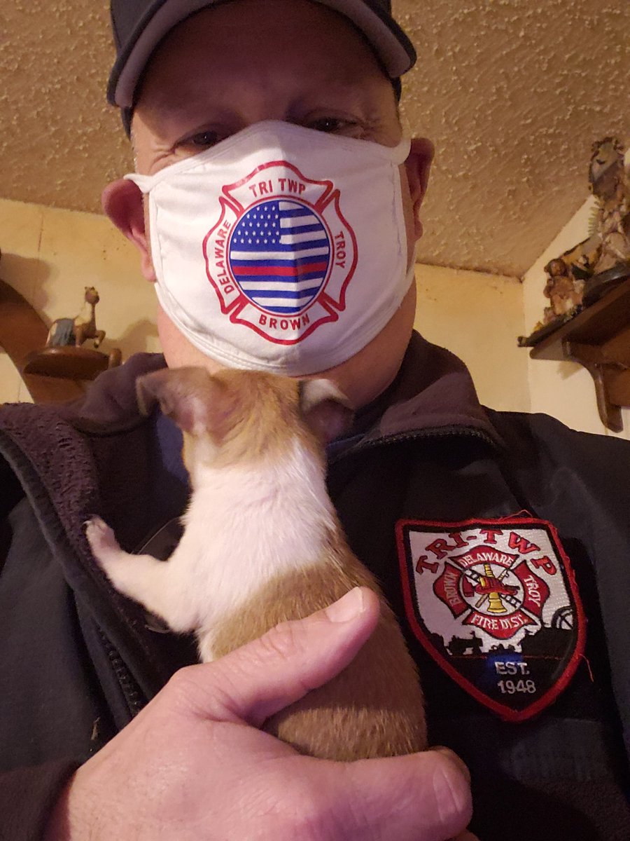 Last evening we got a call from <a href="/DelCoco911/">DelCoco911</a> about a puppy in distress. Owner thought this little pup had fallen into her duct work. Thankfully he found a place to lay in the back of some furniture.