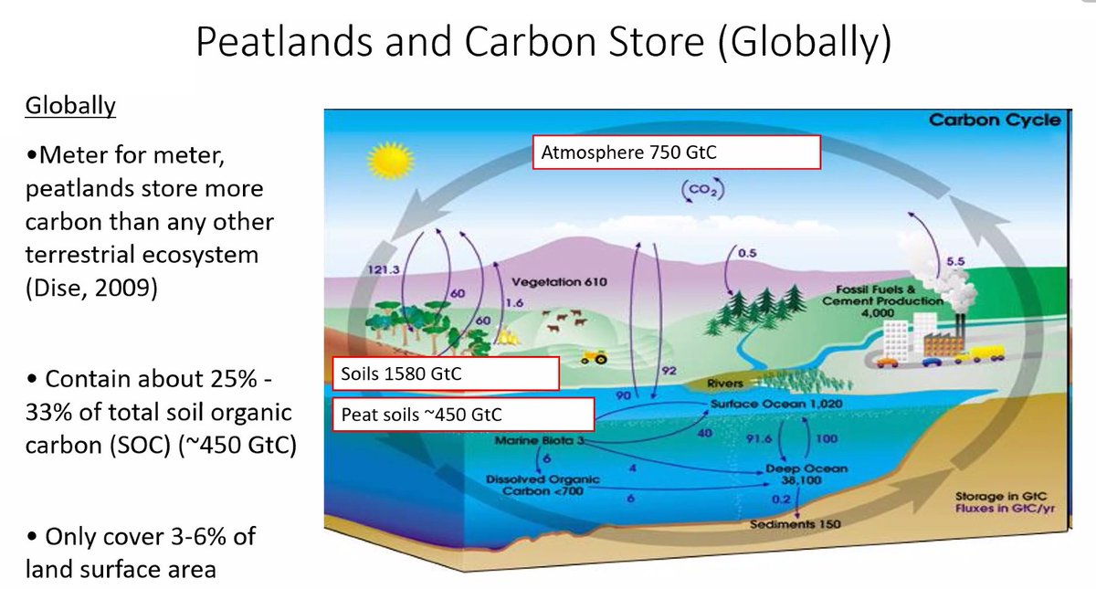 John begins with an intro to his really cute rehomed  @DogsTrust mascot (missed the screenshot of that slide  but she's gorgeous), before giving us a brief overview of his talk, 20 years of experience in  #EO, and a bit of background on peatlands as carbon storage