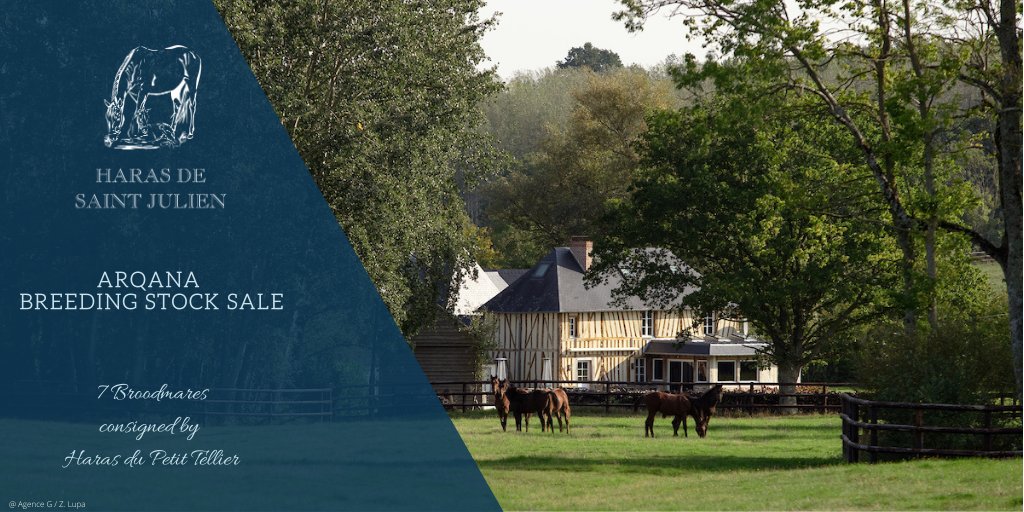 SaintJulienFR's tweet photo. At the @InfoArqana December Sale,
we will present two #broodmares in foal to
#Elvstroem
sire of a Group performer with his 1st French 2yo crop
807 SPEACHLESS (Meshaheer)
828 TALK OF ANGELS (Way of Light)
All presented by @PetitTellier https://t.co/PZpMKtTTxc