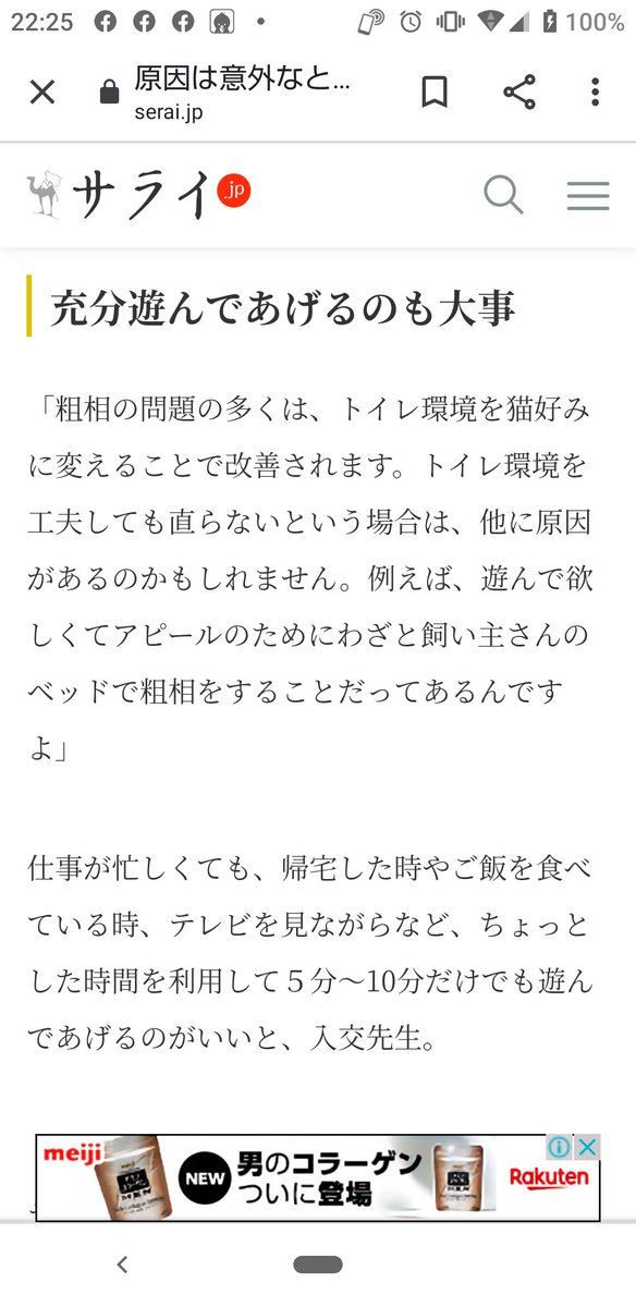 19740329ko's tweet photo. @ASrV5maSxyAcAMS ①トイレ環境を見直す(. ❛ ᴗ ❛.)
②猫の性格もいろいろ(. ❛ ᴗ ❛.)
③充分遊んであげる(. ❛ ᴗ ❛.)
#mindtrue
#猫の粗相 https://t.co/AfARVGZRu0