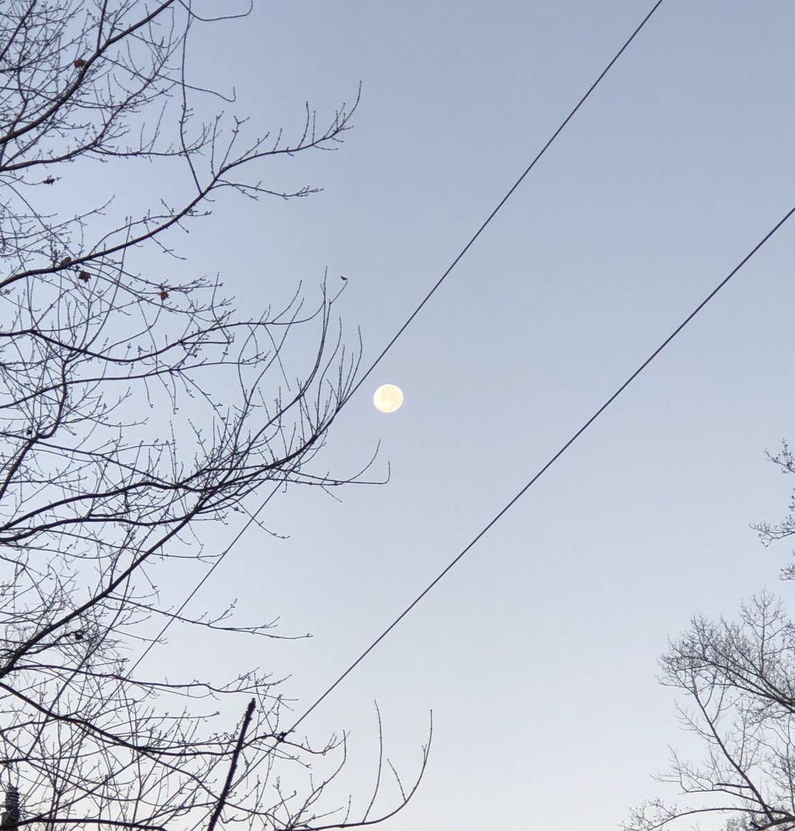 CrystalLife13's tweet image. 