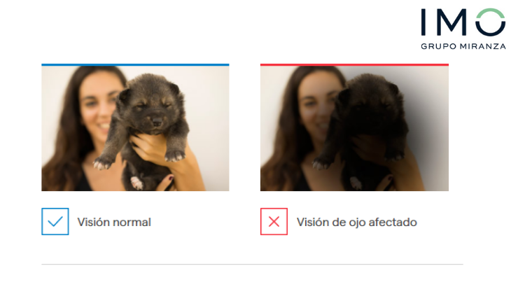 imogrupomiranza's tweet photo. 👁 ¿Alguna molestia ocular te acompaña últimamente? Haz nuestros tests de visión y, si tienes dudas, pide cita con nuestros expertos ➞ https://t.co/OwWzevMp6F #IMOTeCuida #SaludOcular https://t.co/WyOO6TOd8x