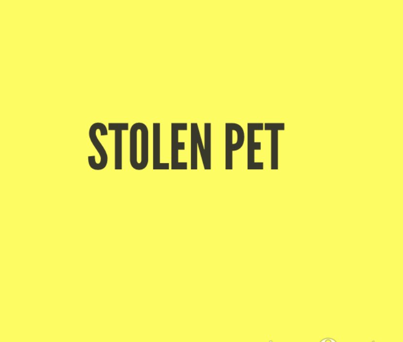 micortazonzz1's tweet photo. #FEDEX GET HER DOG BACK! #KTLA #KABC7 #LosAngeles #Craiglist beware stolen pets are sold sometimes into devils hands or used as breeding machines. Save this #pup #AdoptDontShop @LynetteRomero @libertechan @Dana #stolenpet  #dogsoftwitter  #dogsofinstagram #kcal #Fox https://t.co/8e0n9A8tWE