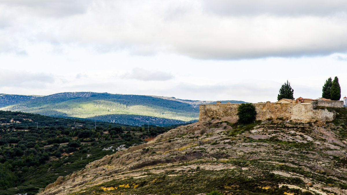 dato360 | Agencia de diseño web tweet media