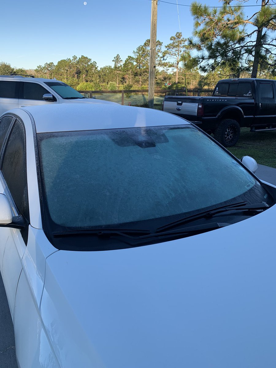 Hey, northern states...your weather is acting crazy in my front yard! Come get it! What’s that stuff on my window? 😳 #FloridaWinter2020