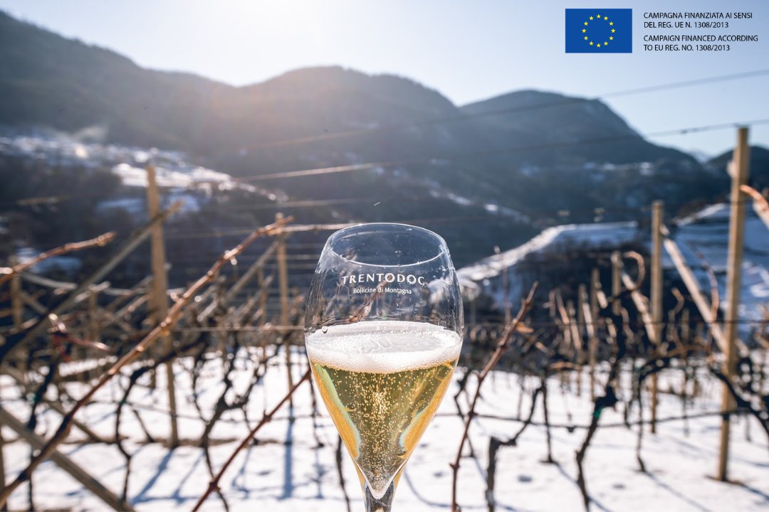 trentodoc's tweet photo. Covered in snow from the vines to the mountaintops: It looks a lot like Christmas in Trentino. #Bubbleview https://t.co/PbKke6ng6S