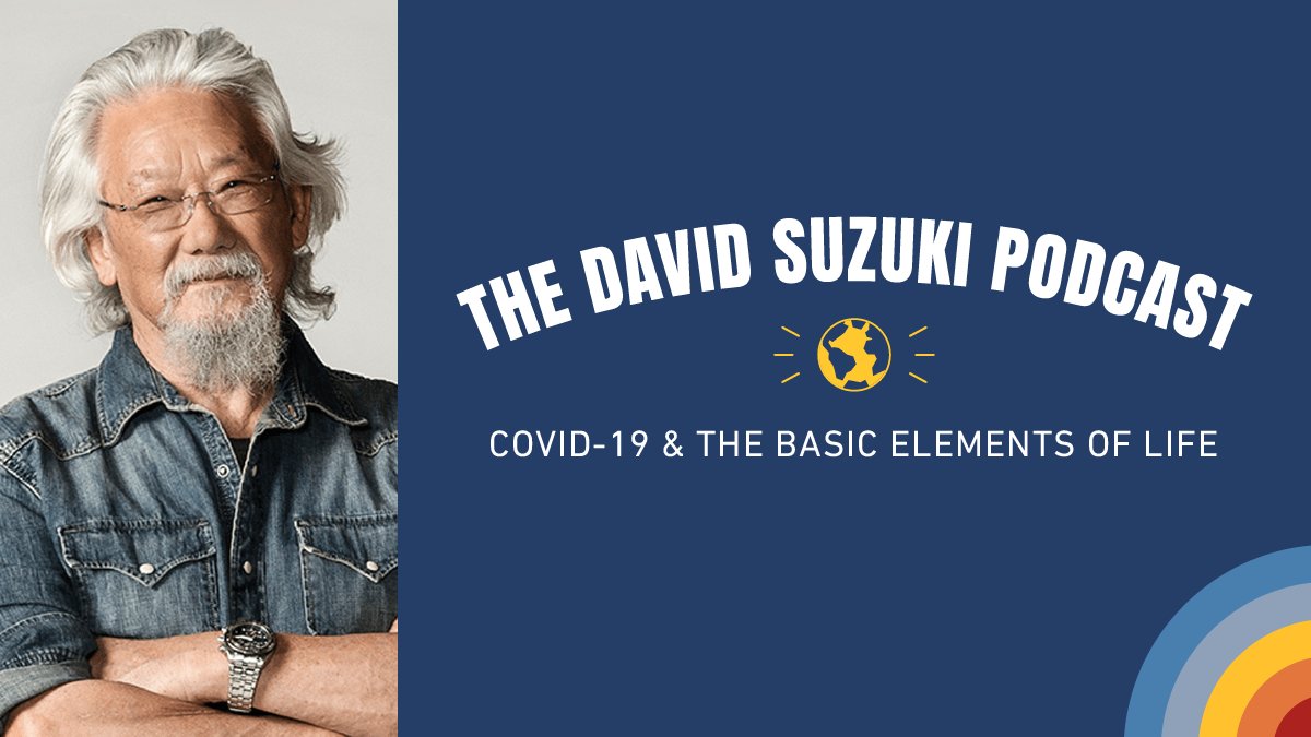 David Suzuki Fdn Davidsuzukifdn Twitter