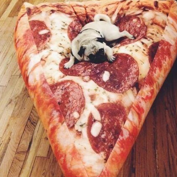 Snappy Tomato Pizza UK™ tweet media