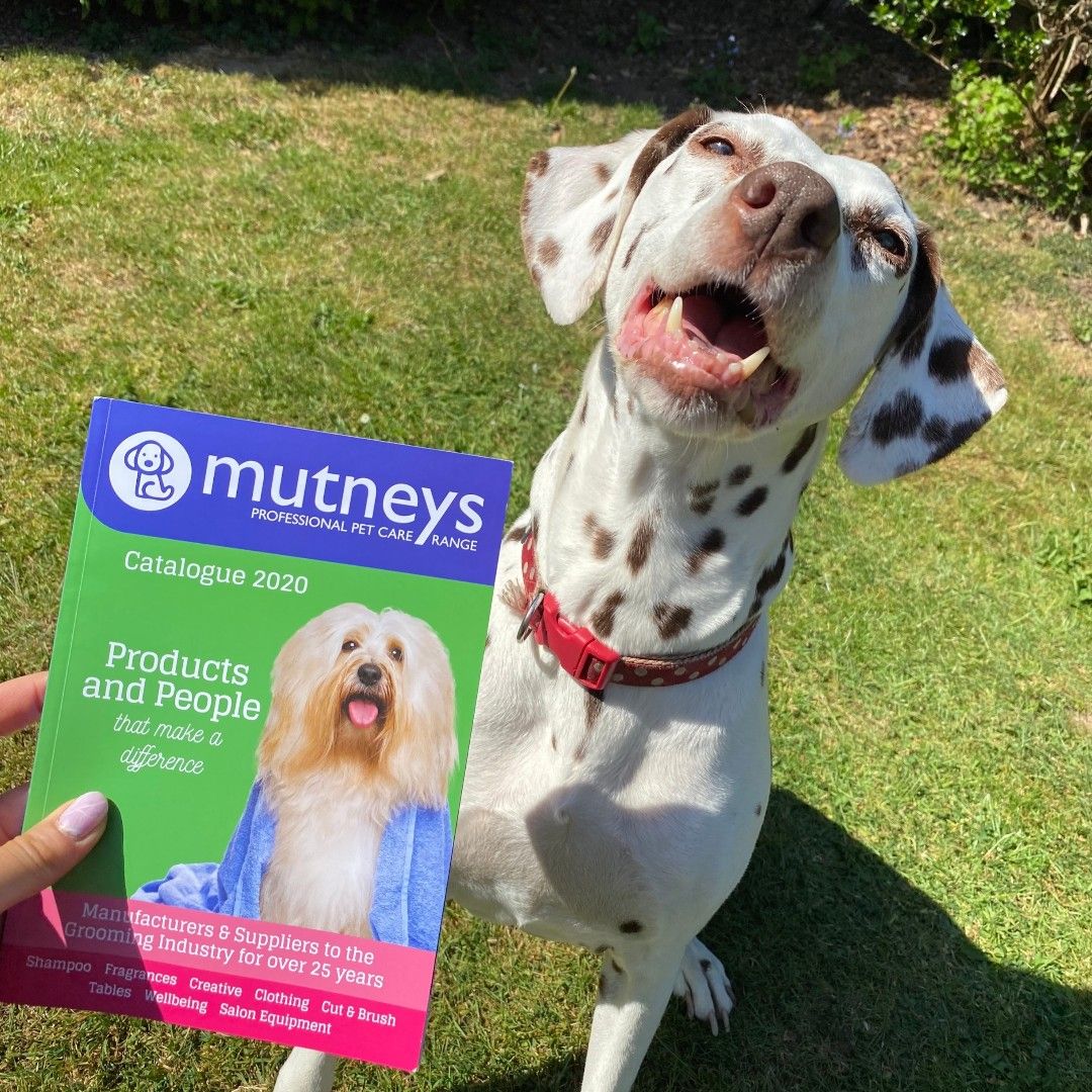 WeAcceptPets's tweet image. 🐾 @Themutneysdog has now been manufacturing &amp;amp; supplying high-quality dog grooming equipment for 25 years.
weacceptpets.co.uk/bus/mutneys-pe…
#Prees #Shropshire #England #DogGrooming #DogSalon #DogGroomer #DogShampoo #PetProducts #PetBusiness #Biodegradable #EcoFriendly #PetFriendly