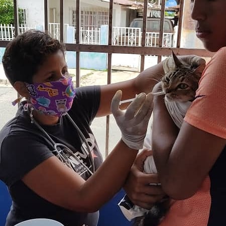 FNevadoCarabobo's tweet photo. En la comunidad San Martín de Porres en Vivienda Rural de Bárbula del municipio Naguanagua fueron atendidos 55 caninos y 12 felinos con consulta, aplicación de vacuna antirrábica y cortes de uña. ♥️😸🐶♥️

#Carabobo
#MisiónNevado https://t.co/7xod8ntQ5w