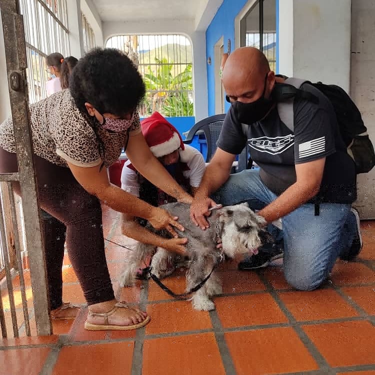 FNevadoCarabobo's tweet photo. En la comunidad San Martín de Porres en Vivienda Rural de Bárbula del municipio Naguanagua fueron atendidos 55 caninos y 12 felinos con consulta, aplicación de vacuna antirrábica y cortes de uña. ♥️😸🐶♥️

#Carabobo
#MisiónNevado https://t.co/7xod8ntQ5w