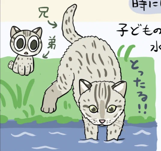 弟スナドリネコ、かわいく描けたな…ひょっとしてこの子を主人公でアニメ化すれば人気出るのでは??タイトルは…そうだな…スナ…スナドリャオヘイ… 