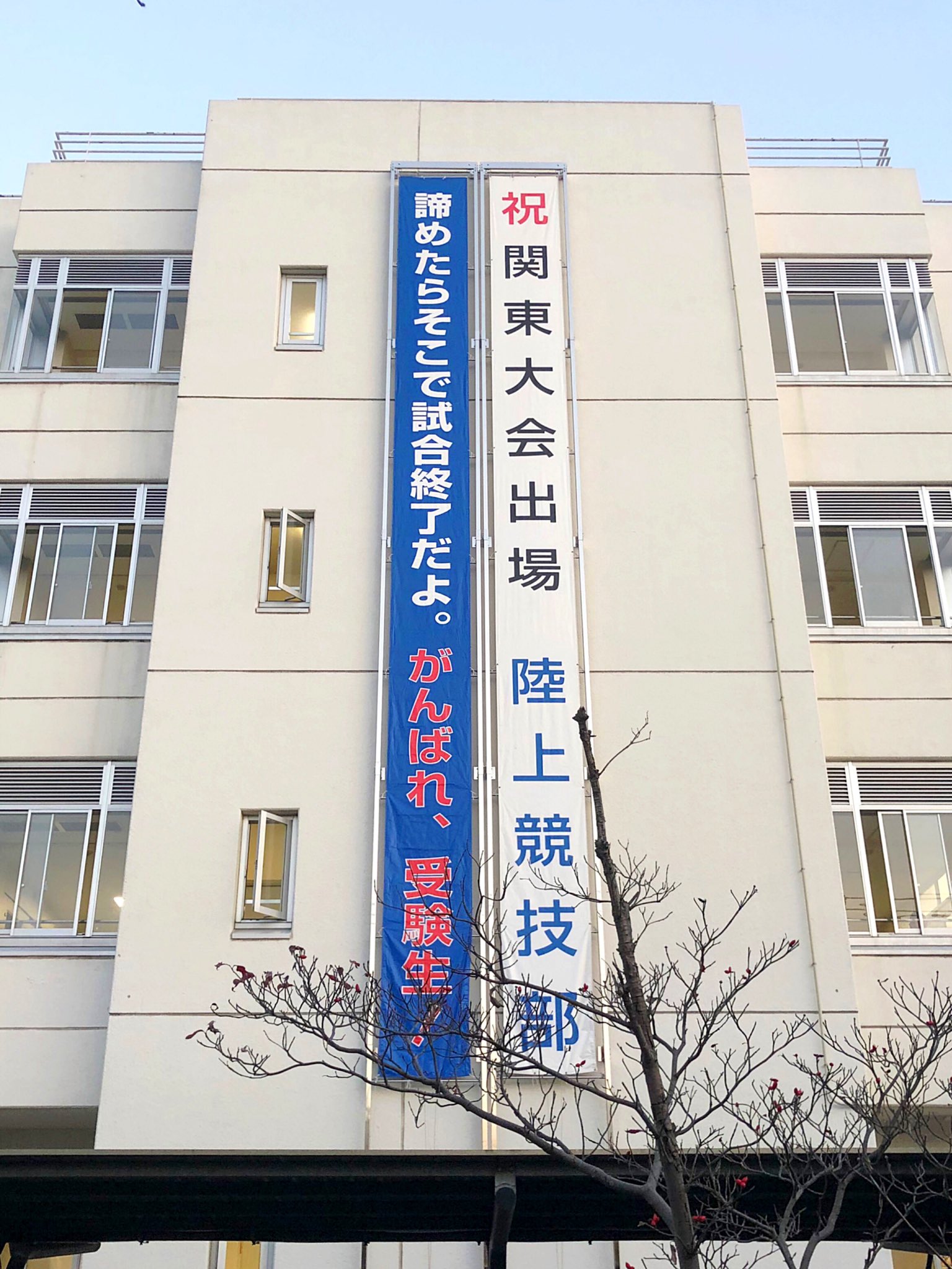 はるかきみへ 武蔵野北高校 大好きなスラムダンクの湘北のモデルと知ってびっくり 湘南の辺が舞台だから神奈川の高校がモデル だと思い込んでた 武蔵関駅から三鷹駅に行くマイ散歩コースの途中にあってよく通る場所だったから尚更びっくり嬉しい はるかきみへ 武蔵野北高校 大好きなスラムダンクの湘北のモデルと知ってびっくり 湘南の辺が舞台だから神奈川の高校がモデル だと思い込んでた 武蔵関駅から三鷹駅に行くマイ散歩コースの途中にあってよく通る場所だったから尚更びっくり嬉しい