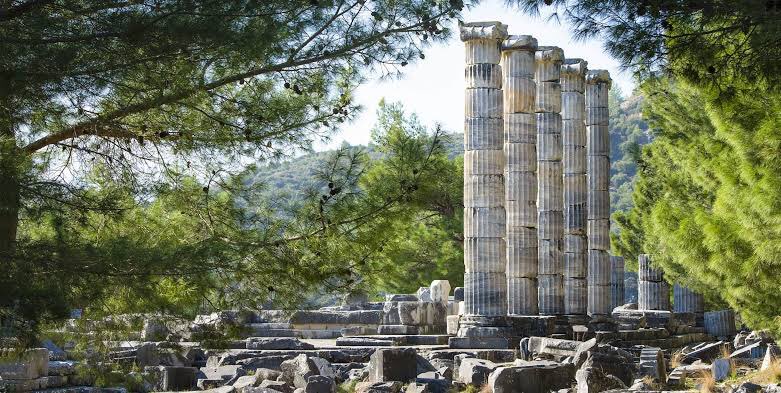 Priene was a member of the Ionian League (a mid-7th c. defensive organization of 12 cities), hence all their grand civil architecture was of the ionic order, including the large temple of Athene.