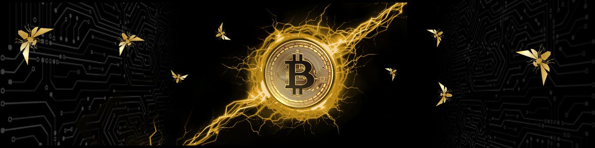 Michael Saylor on Twitter: "In keeping with the spirit of #Bitcoin, I have decided to open source my cyber hornet twitter banner.… "