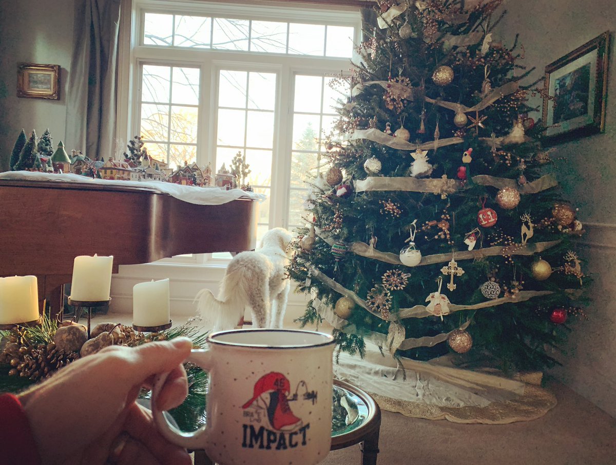 Gary Bennett (@gdbjr5) on Twitter photo Morning #Coffee view #brewforimpact #coffeeforacause <a href="/ryanbennett131/">ryanbennett13</a> <a href="/Brace4Impact46/">Brace for Impact 46</a> <a href="/Kaldis_Coffee/">Kaldi's Coffee</a> <a href="/JoshuaLFerguson/">Josh Ferguson</a> <a href="/KyleMcClellan46/">Kyle McClellan</a> <a href="/WinReality/">WIN Reality</a> <a href="/NealJames56/">NealCotts</a> <a href="/Slammers_HS_IL/">Slammers</a> <a href="/pt_kell/">Pat Kelly</a> <a href="/marklittle29/">Mark Little</a> <a href="/craigholman35/">craig holman</a> <a href="/PrestonWilson44/">Preston Wilson</a> <a href="/farmerbobnwmo/">1778.75 50.75</a> #Christmas #ChristmasTree Morning #Coffee view #brewforimpact #coffeeforacause <a href="/ryanbennett131/">ryanbennett13</a> <a href="/Brace4Impact46/">Brace for Impact 46</a> <a href="/Kaldis_Coffee/">Kaldi's Coffee</a> <a href="/JoshuaLFerguson/">Josh Ferguson</a> <a href="/KyleMcClellan46/">Kyle McClellan</a> <a href="/WinReality/">WIN Reality</a> <a href="/NealJames56/">NealCotts</a> <a href="/Slammers_HS_IL/">Slammers</a> <a href="/pt_kell/">Pat Kelly</a> <a href="/marklittle29/">Mark Little</a> <a href="/craigholman35/">craig holman</a> <a href="/PrestonWilson44/">Preston Wilson</a> <a href="/farmerbobnwmo/">1778.75 50.75</a> #Christmas #ChristmasTree