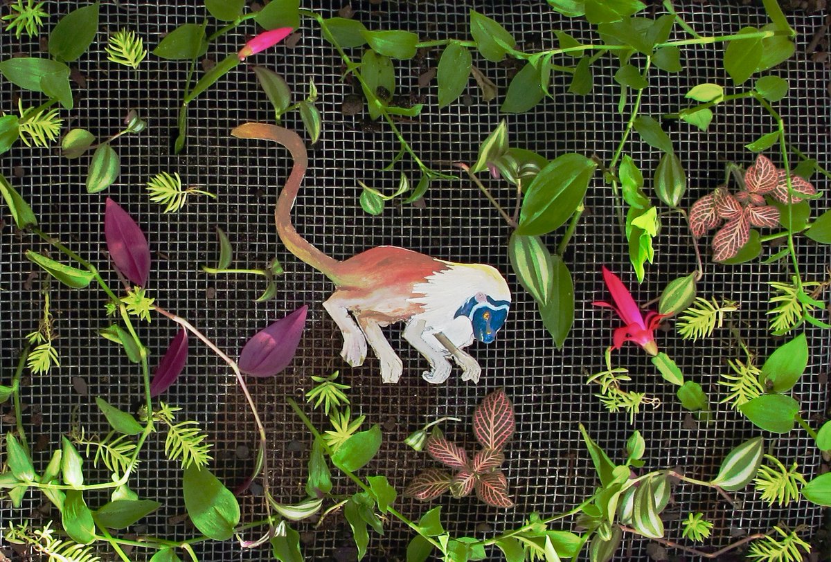 Honevo's tweet image. BIONIC ART - POEMAS POS INDIGENAS honevo.wordpress.com/2020/11/30/poe… #bionicart #vishnu #avatar #poemas #posindigenas #postindigenous #poems #honevo