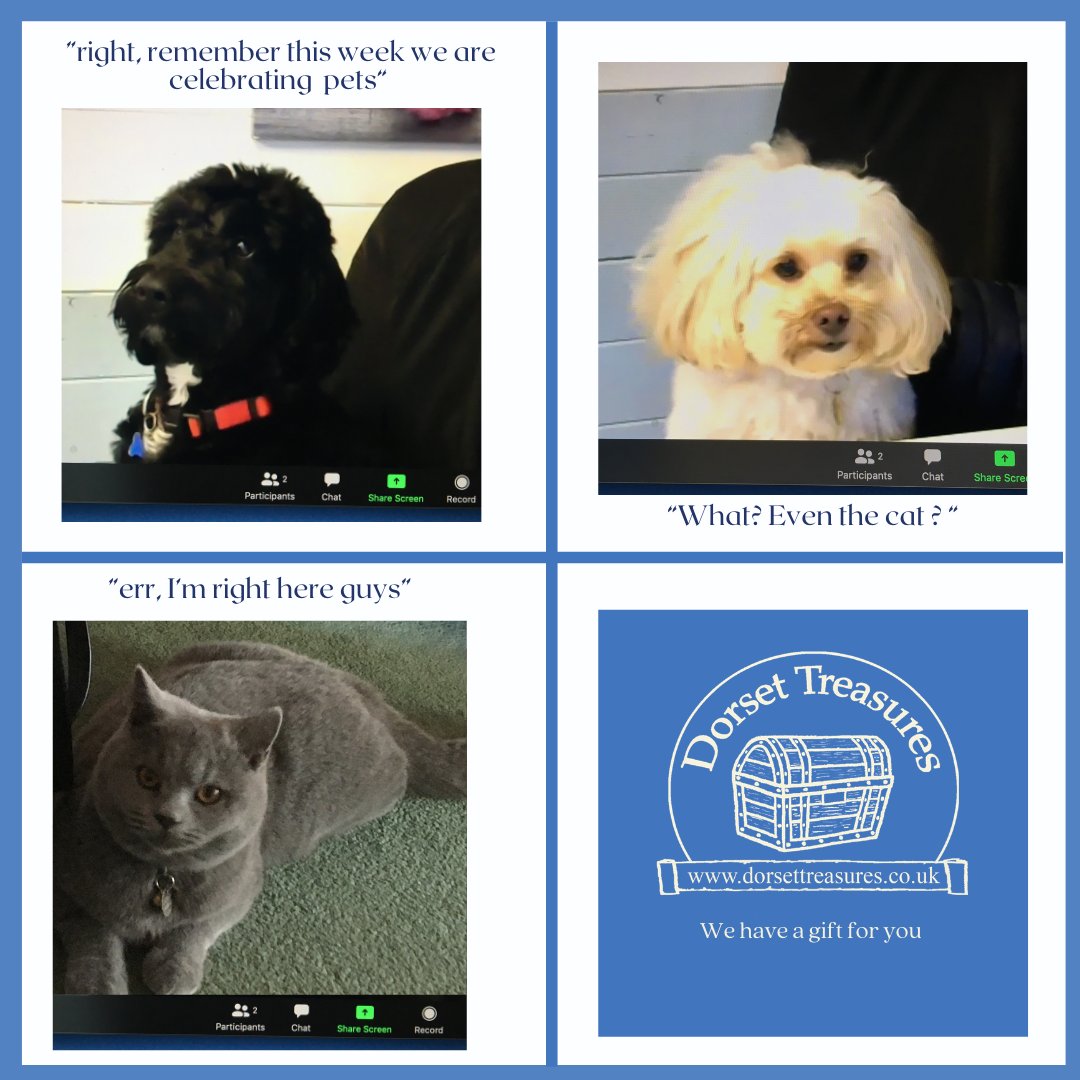 This week we are celebrating Pets Week and all our team members got involved in the planning call!