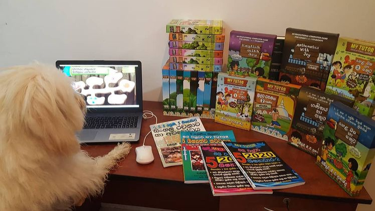 Our educational games produced at <a href="/gtslk/">GTS Game Studios Sri Lanka</a> have gone to the dogs!