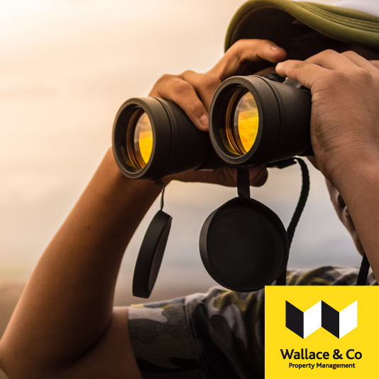 WallaceandCo_'s tweet photo. If you own a property and are looking for a tenant, get in touch with our Lettings team today on 01427 619558 | wallaceco@btinternet.com https://t.co/LNDNxPdNUs