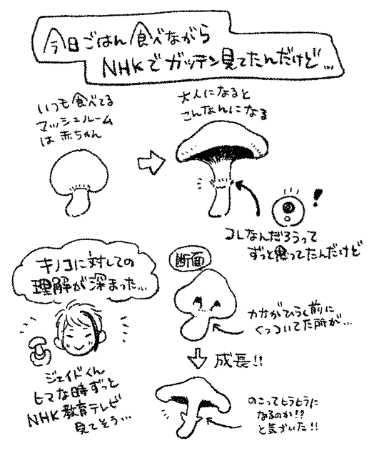 しょーもない日記 