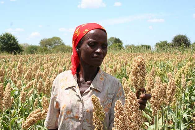 ipsnews's tweet photo. #COVID19 has magnified global #foodinsecurity and is driving unhealthy eating and worsening malnutrition - Food experts call for deliberate global investment in food as medicine on the back of growing diet-related illnesses, writes @maboys #ResettingFood https://t.co/OpbeDphd1o https://t.co/hDi4zYJJzD