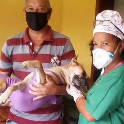 En Morón, municipio Juan José Mora, esta linda perrita comunitaria fue esterilizada exitosamente. Gracias a los vecinos por preocuparse por la salud de esta linda comunitaria. ♥️🐶♥️ #Carabobo #MisionNevado
