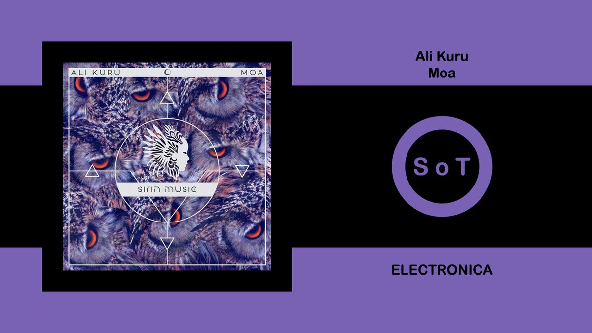 SoundsOfToma tweet media