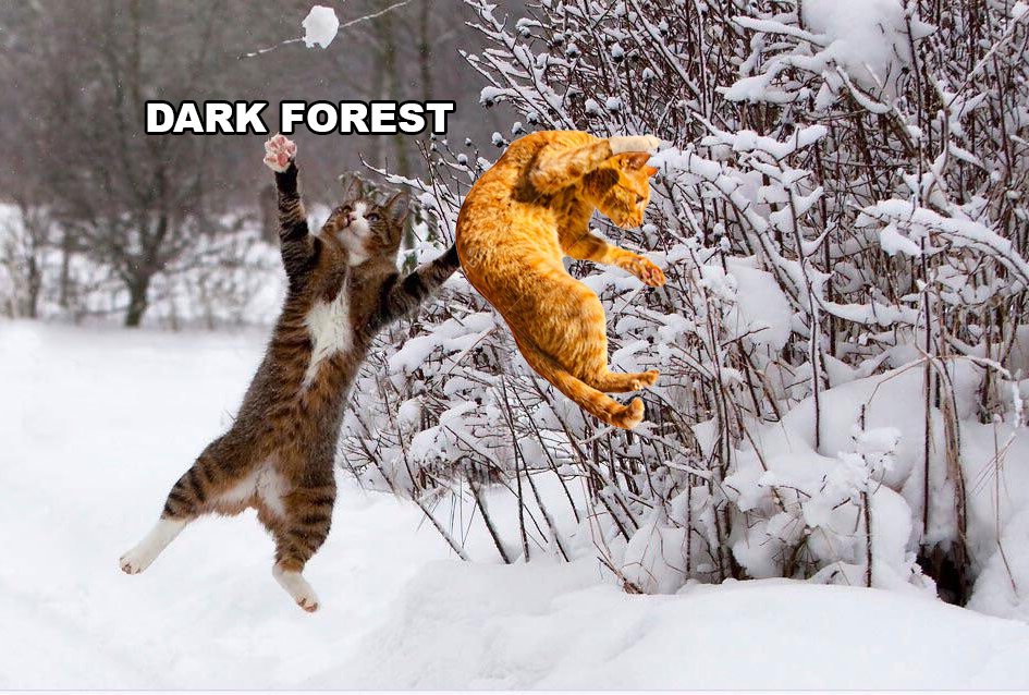 Warriors Memes Warriorcatmemes Twitter Warriors Memes Warriorcatmemes Twitter