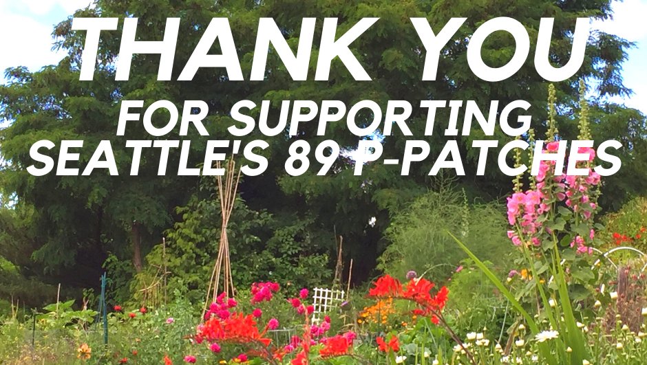 A huge THANK YOU to all of our wonderful gardeners, supporters and donors who showed up for GROW on #Giving Tuesday. You showed your commitment to supporting community gardens and preserving green space in Seattle and we appreciate YOU! #TogetherWeGave