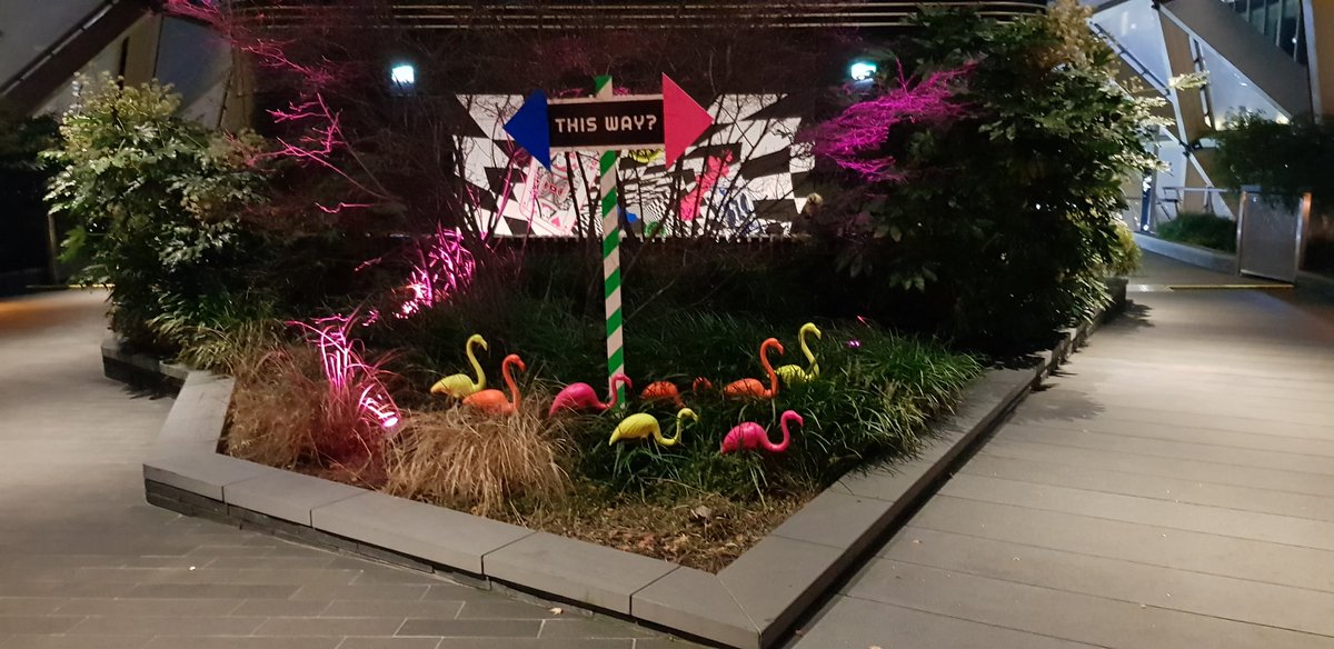 WildScreens's tweet image. Today is the launch of #connectedbylight @yourcanarywharf w/ sneak peak of #curiousfluorious #crossplace - enchanted garden 
@MABiennale