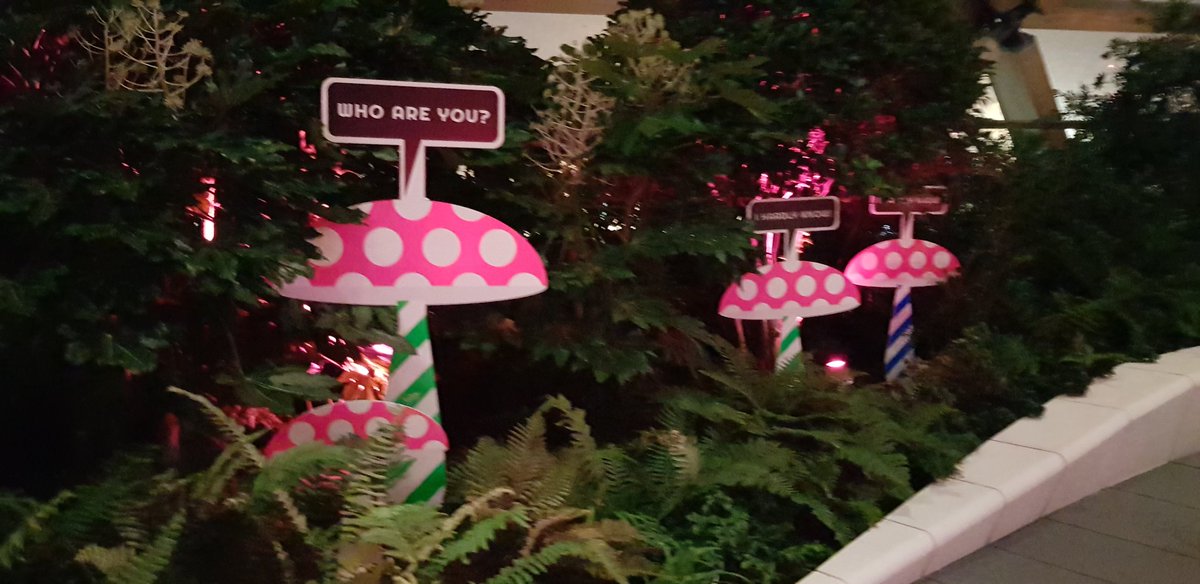 WildScreens's tweet image. Today is the launch of #connectedbylight @yourcanarywharf w/ sneak peak of #curiousfluorious #crossplace - enchanted garden 
@MABiennale