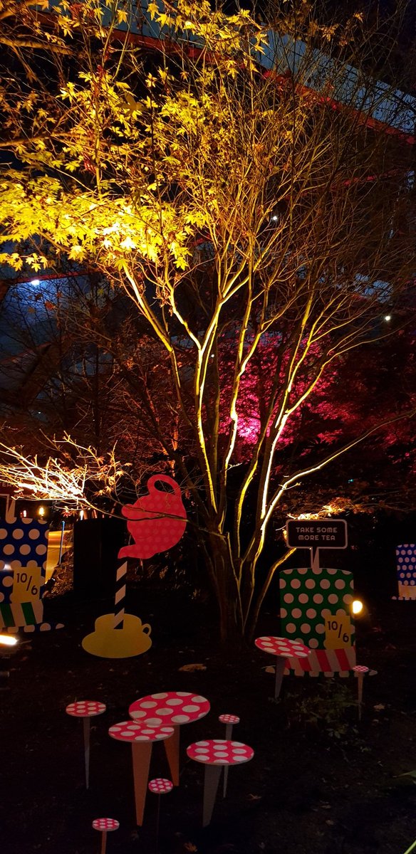 WildScreens's tweet image. #curiousfluorious #crossrailplace #connectedbylight @MABiennale canarywharf.com/whats-on/conne…