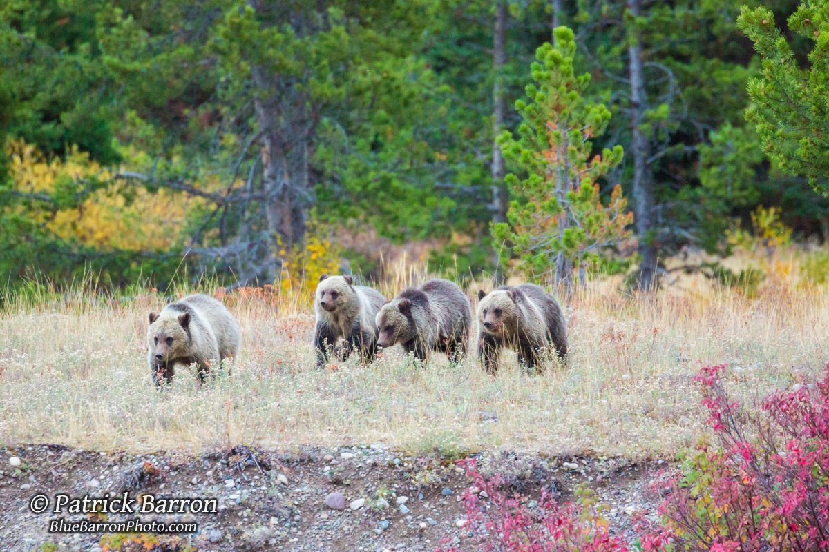 During this time you might've seen some of my photos, but I never mentioned the circumstances. I didn't want people worrying, especially since for the most part I was fine.