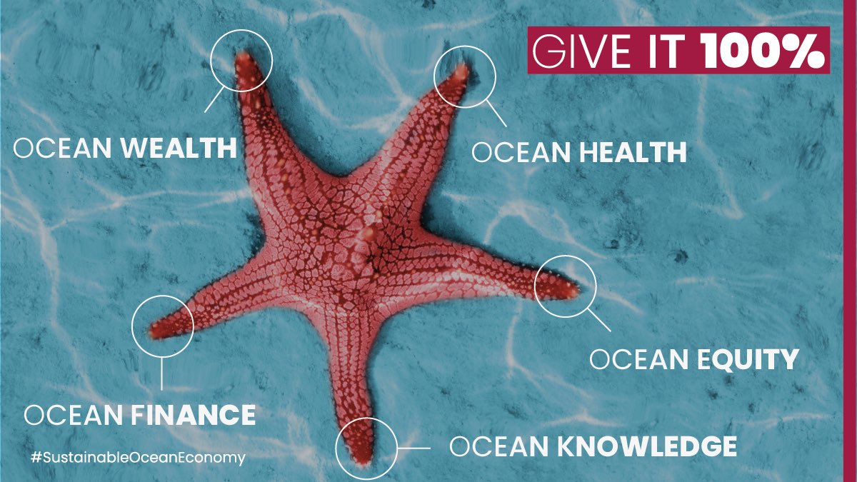 Utenriksdept's tweet image. Hva må til for å realisere havpanelets ambisjoner? Følg med i morgen når @erna_solberg og @VidarHelgesen møter ledende representanter fra norsk forskning, næringsliv og organisasjoner for å diskutere havpanelets konklusjoner.

🗓 3. desember
⏰kl. 08.30
👉🏻regjeringen.no/havpanel